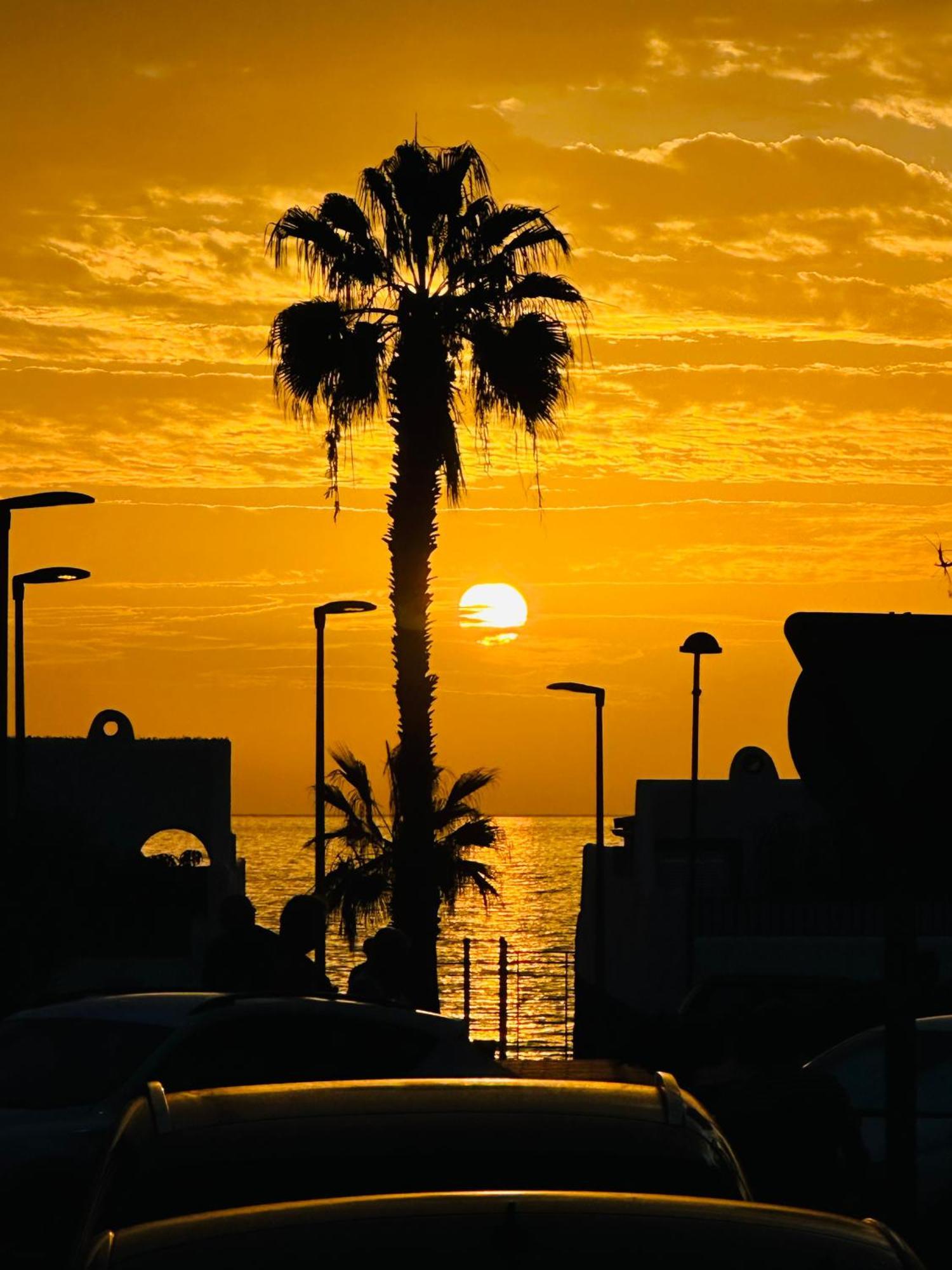 Apartamento Brisas Del Sur - Oasis Tenerife Sur Playa de San Juan  Eksteriør billede
